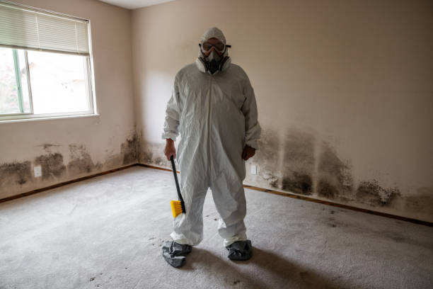Best Biohazard Mold Removal  in Woodburn, OR